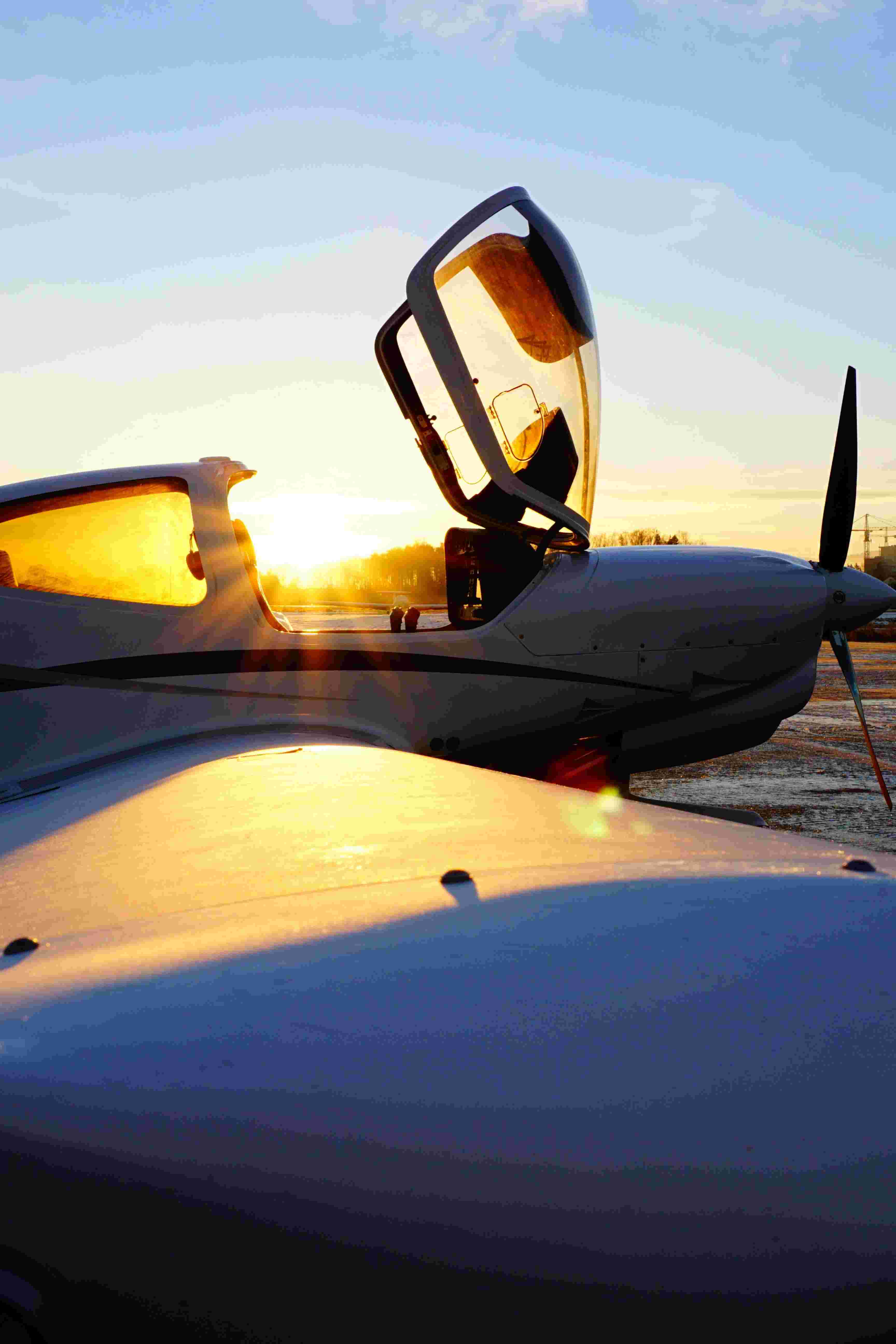 Distribution Services